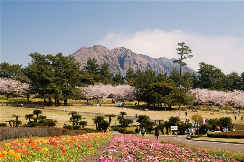 吉野公園