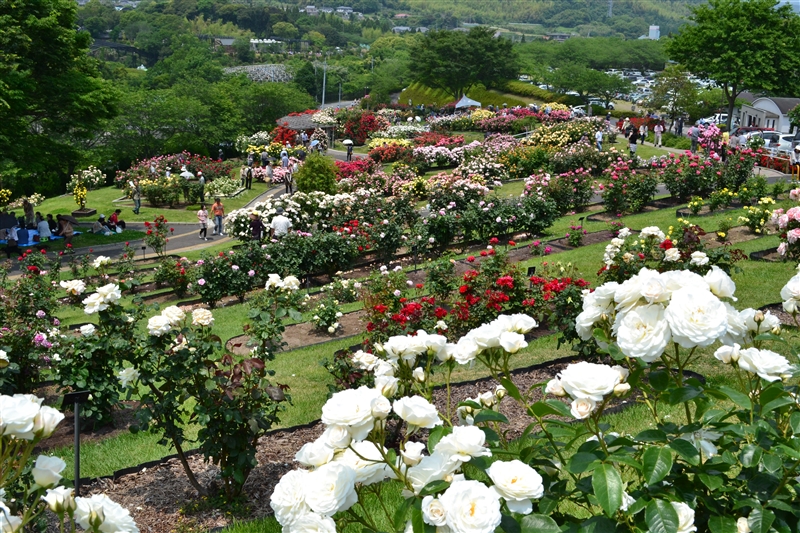 錦江湾公園