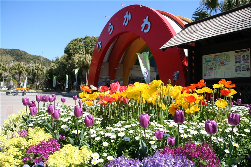 かごっまふるさと屋台村