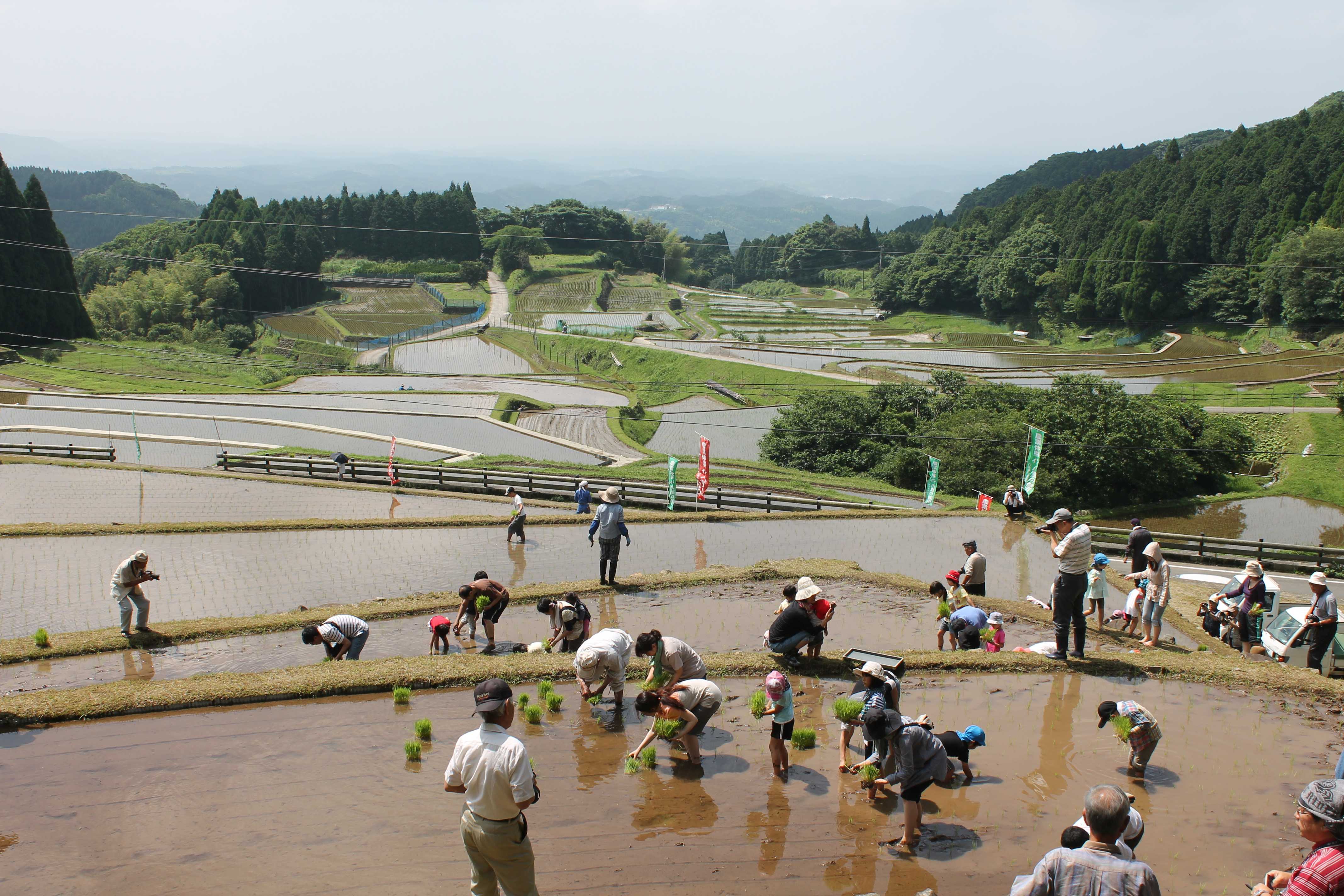 八重の棚田
